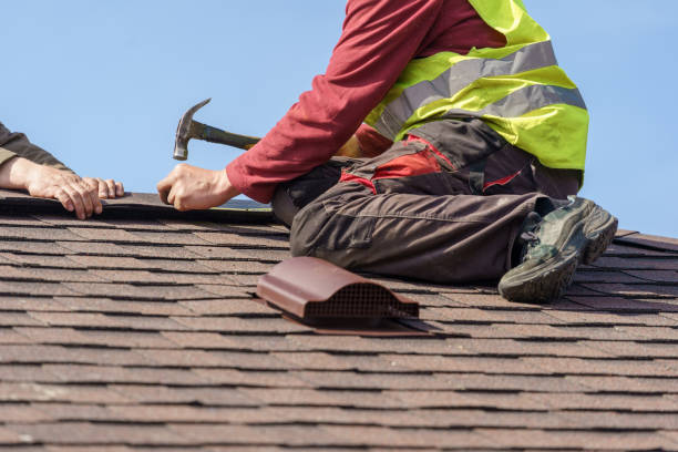 Best Gutter Installation and Roofing  in Varnville, SC