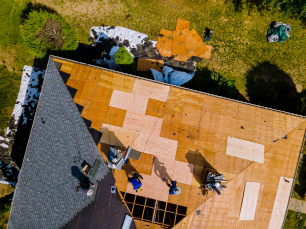 Best Gutter Installation and Roofing  in Varnville, SC